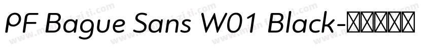 PF Bague Sans W01 Black字体转换